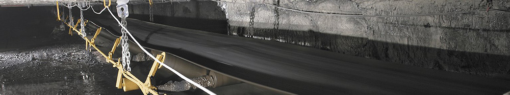 Conveyor Chains and Chain Drives